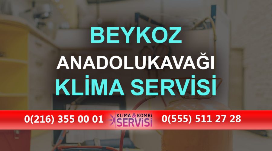 Anadolukavağı Klima Servisi