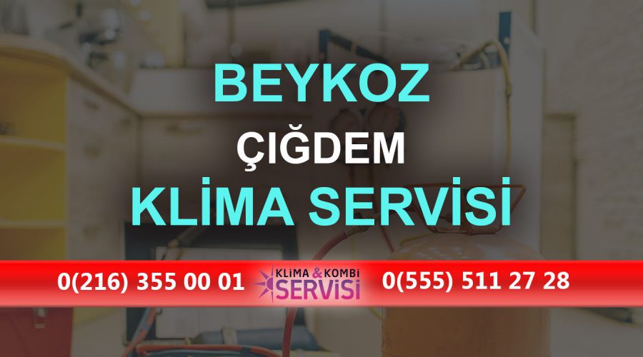 Çiğdem Klima Servisi