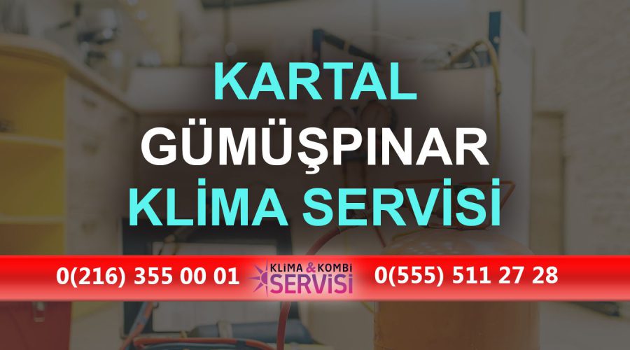 Gümüşpınar Klima Servisi