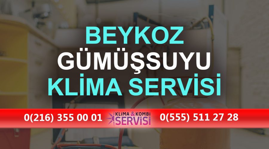 Gümüşsuyu Klima Servisi
