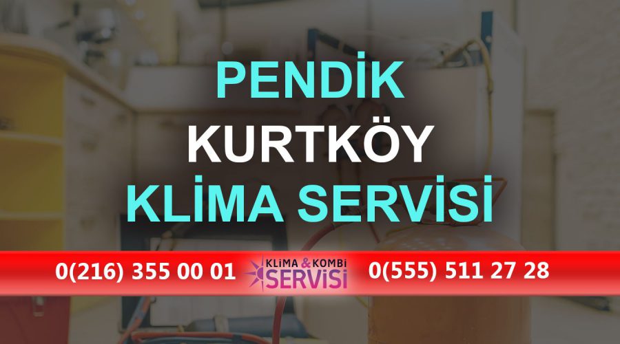 Kurtköy Klima Servisi