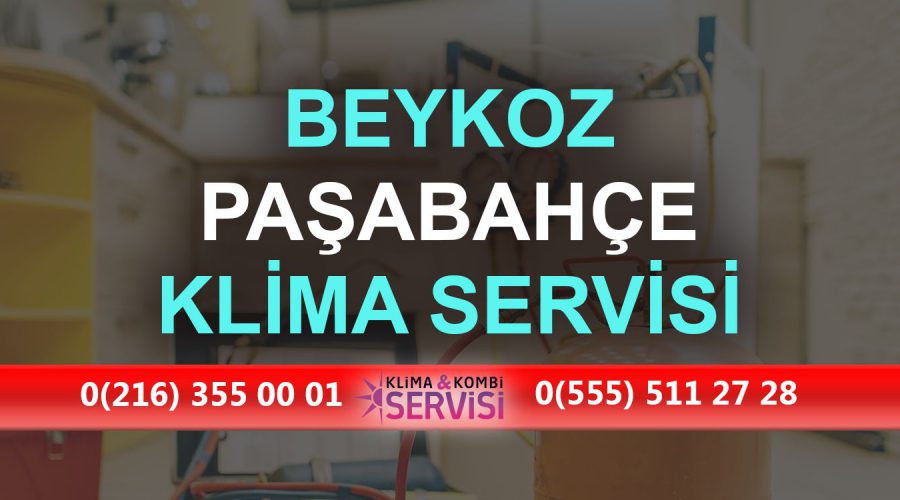 Paşabahçe Klima Servisi