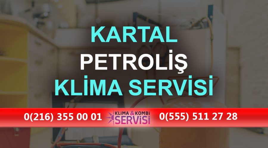 Petroliş Klima Servisi