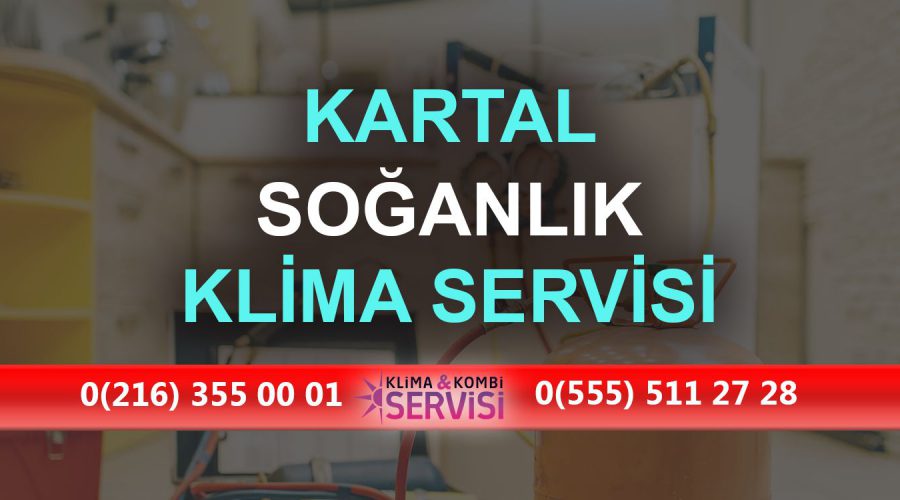 Soğanlık Klima Servisi