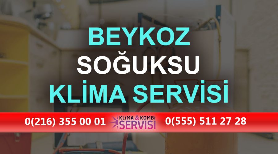 Soğuksu Klima Servisi