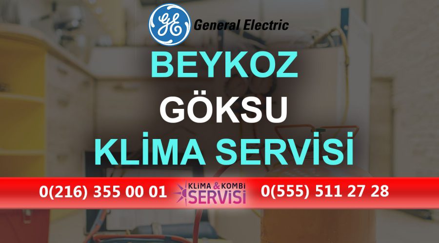 Göksu General Electric Klima Servisi