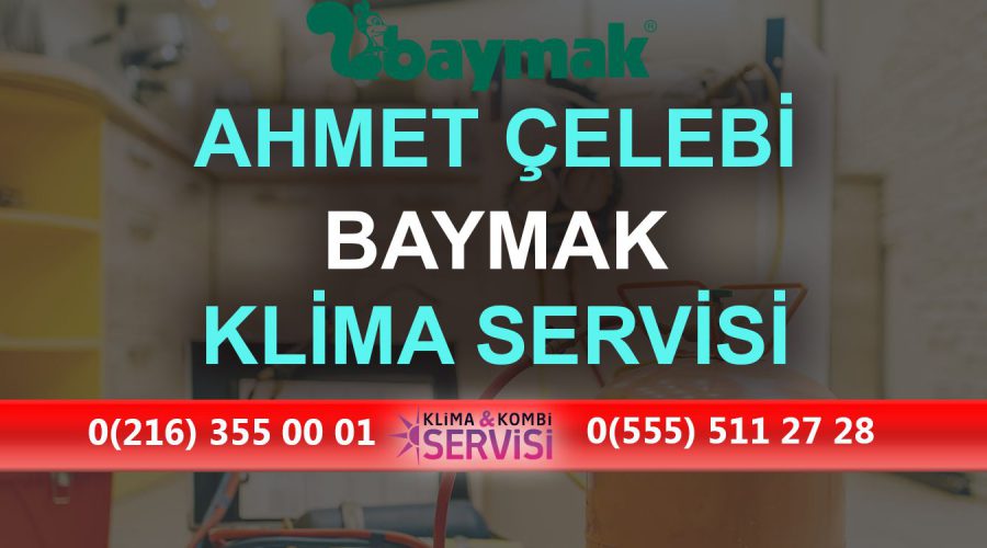 Ahmet Çelebi Baymak Klima Servisi