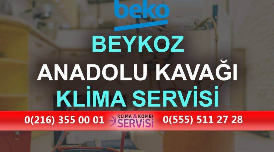 Anadolu Kavağı Beko Klima Servisi