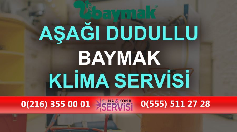 Aşağı Dudullu Baymak Klima Servisi