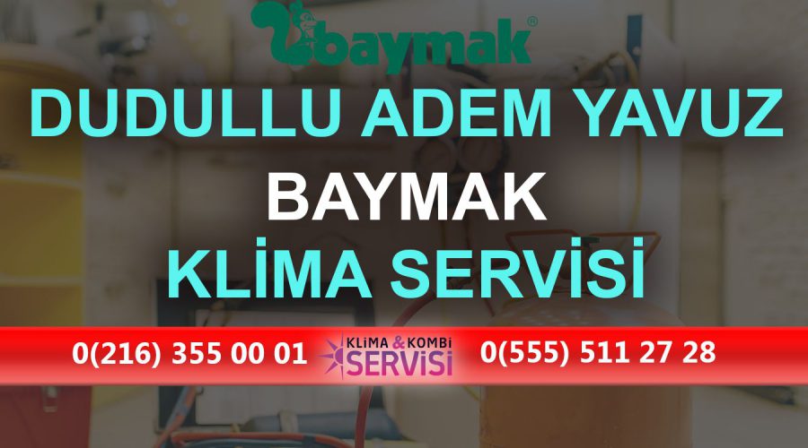 Dudullu Adem Yavuz Baymak Klima Servisi