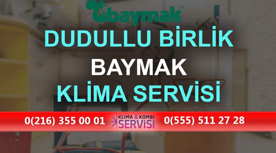 Dudullu Birlik Baymak Klima Servisi