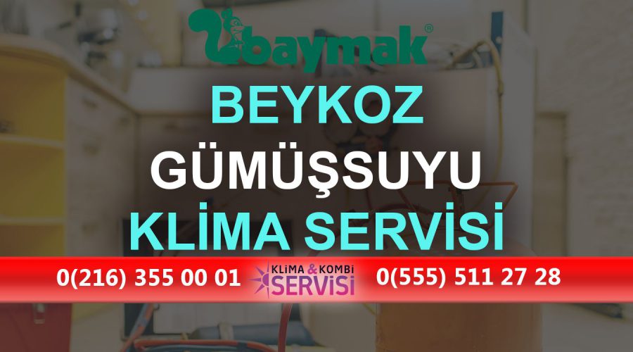 Gümüşsuyu Baymak Klima Servisi
