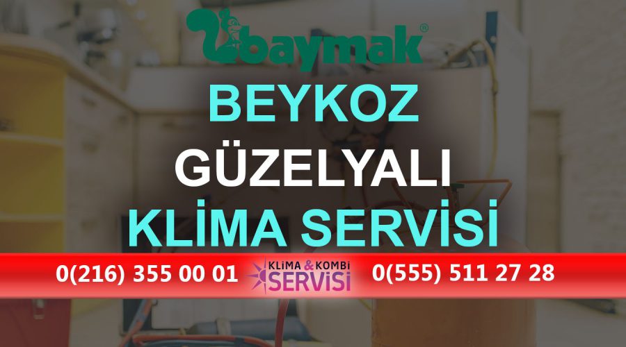 Güzelyalı Baymak Klima Servisi