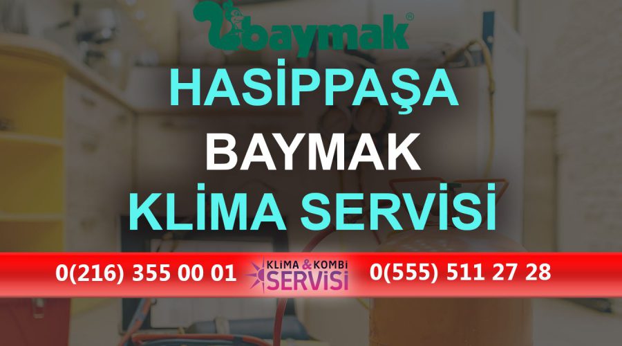 Hasippaşa Baymak Klima Servisi