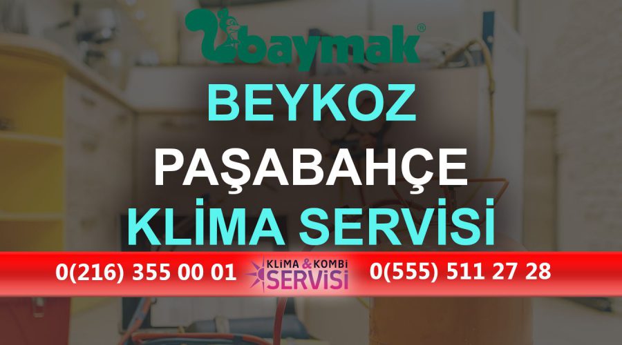 Paşabahçe Baymak Klima Servisi