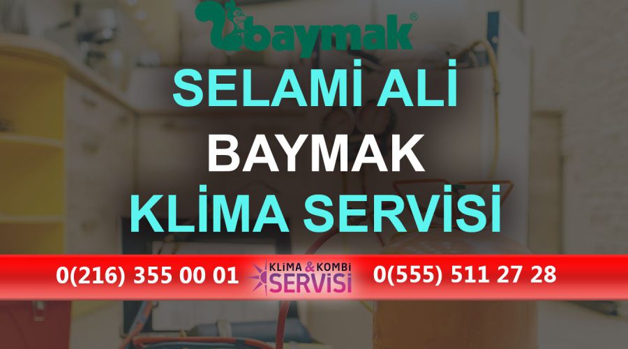 Selami Ali Baymak Klima Servisi
